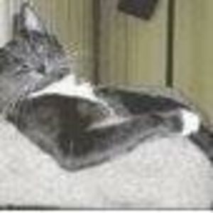 Meet your Posher, Brenda